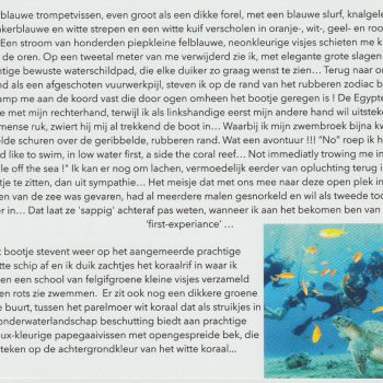 Snorkelen in het koraalrif...